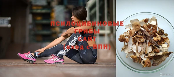 герыч Арсеньев