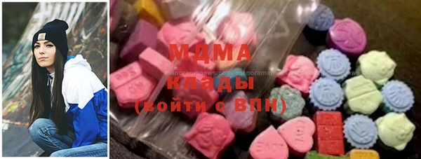 индика Бердск