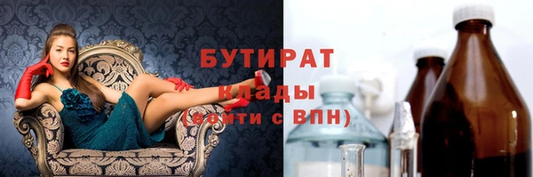хмурый Аркадак