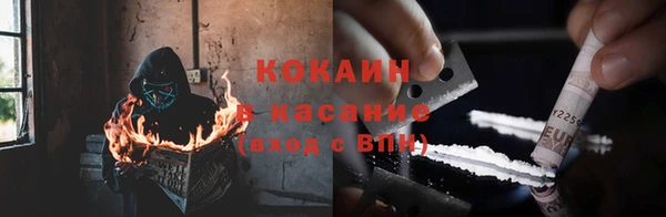 прущие грибы Балабаново