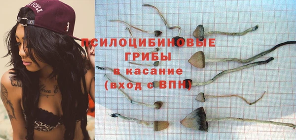 герыч Арсеньев