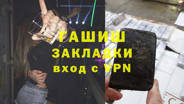 хмурый Аркадак