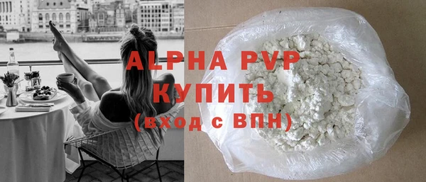 хмурый Аркадак